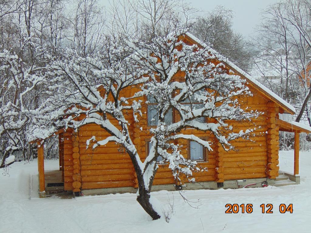 Отель Casutele Din Мойсей Экстерьер фото