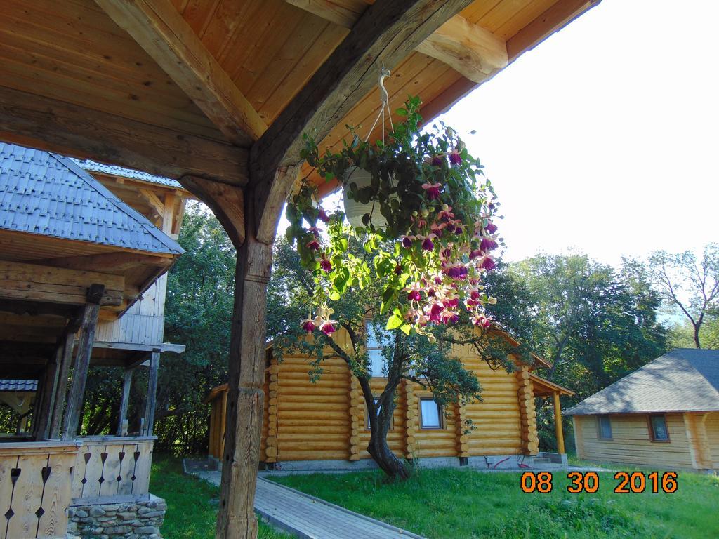 Отель Casutele Din Мойсей Экстерьер фото