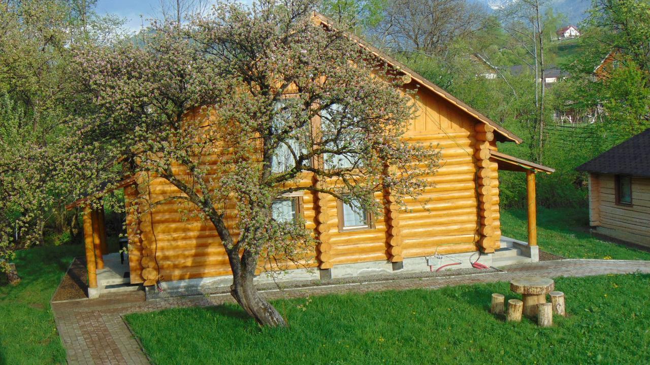 Отель Casutele Din Мойсей Экстерьер фото