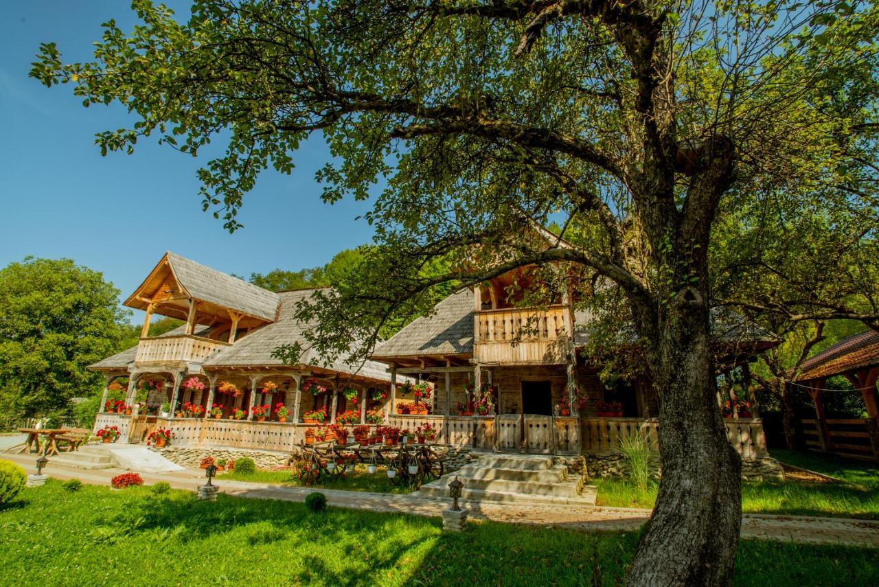 Отель Casutele Din Мойсей Экстерьер фото