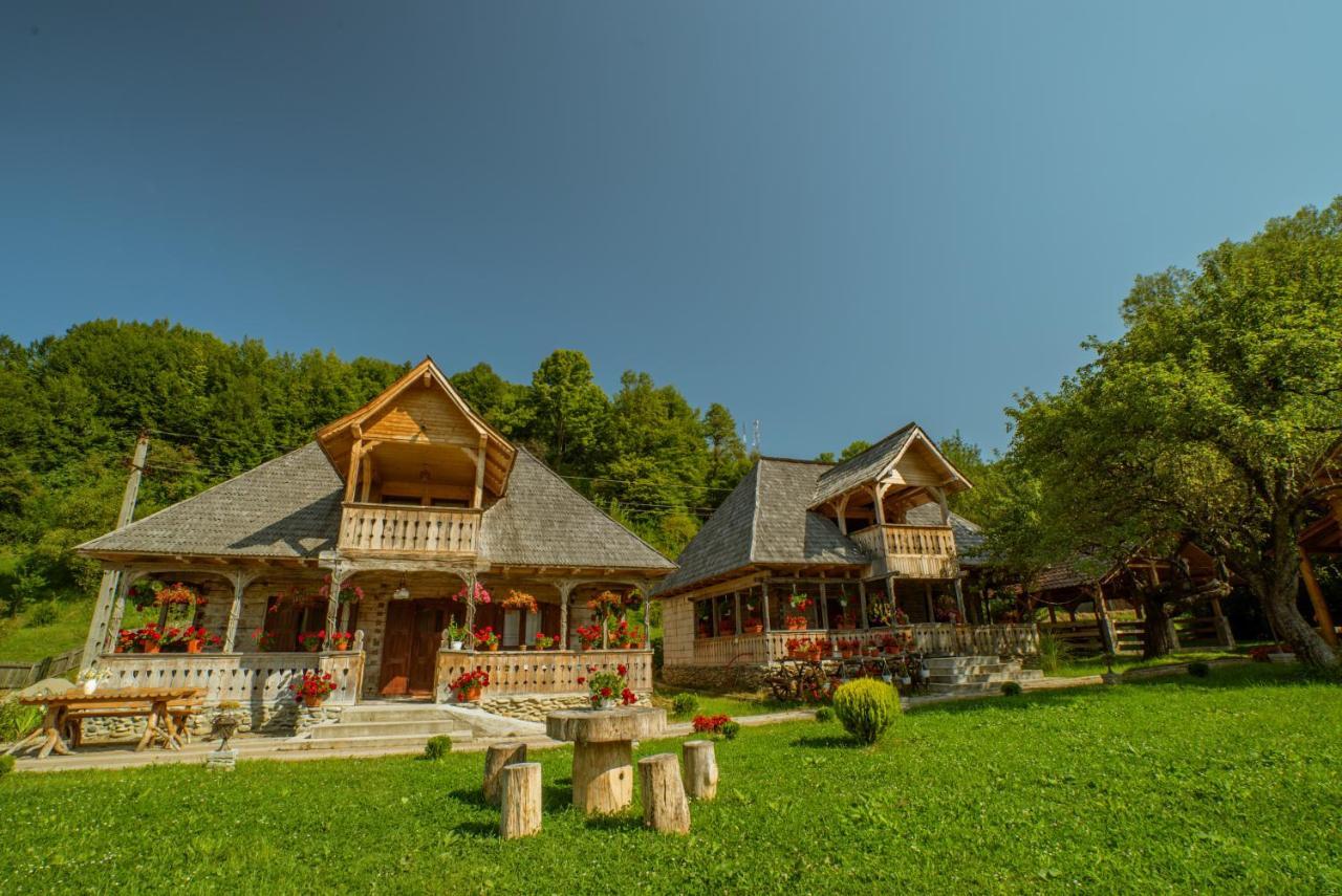 Отель Casutele Din Мойсей Экстерьер фото